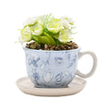 Alice au Pays des Merveilles - Tasse Décorative + Fausse Plante